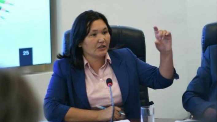 Айман Сағидулла министрден көмек сұрады: Қазақстанда "қазақ тілі кабинетіне" жарымаған мектептер бар