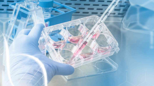 Таяуда өзіміздің "обырға қарсы" дәріміз де дайын болады