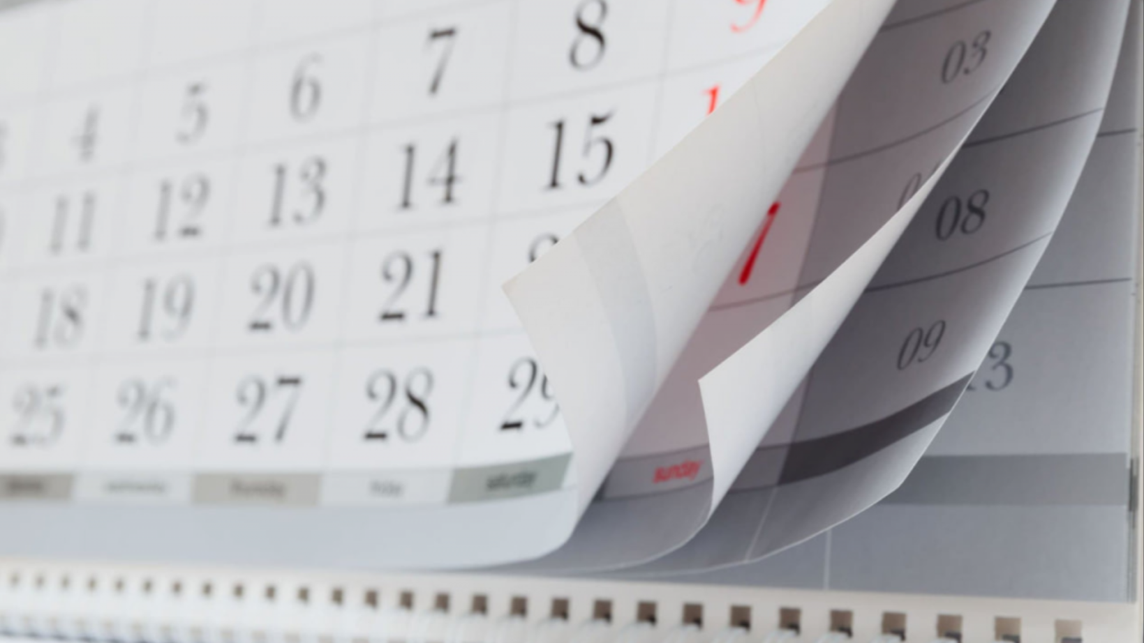 Жаңа жылда қалай демаламыз?