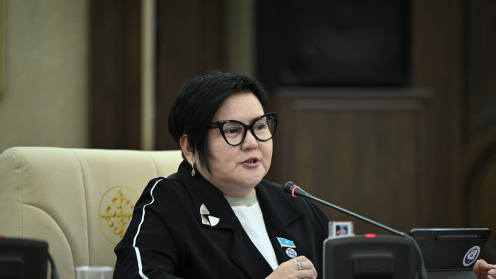 Депутат әйелдердің жұмыс уақытын қысқартуды сұрады