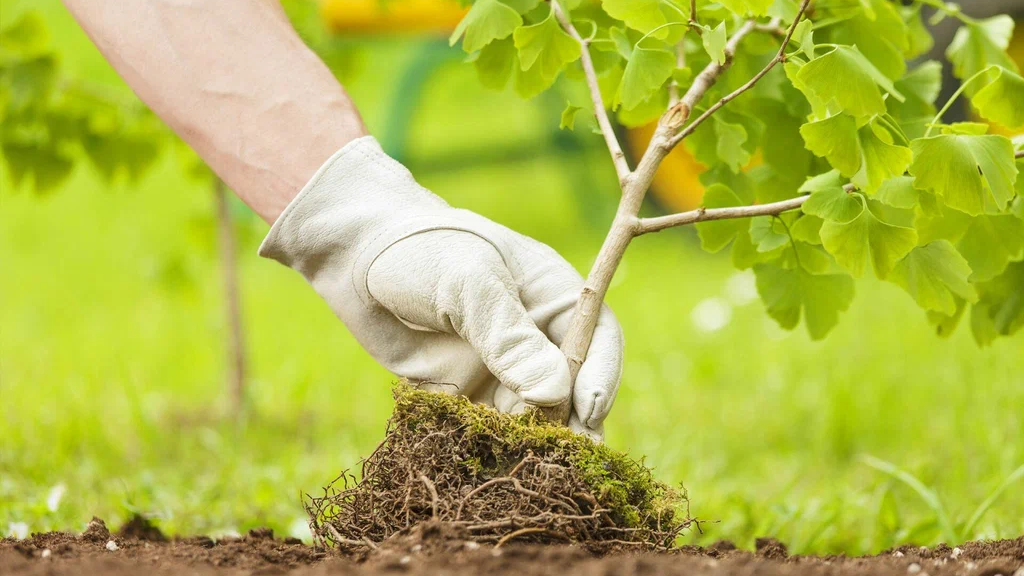 Президенттің 2 млрд ағаш отырғызу тапсырмасы 2027 жылға дейін орындалады — Ерлан Нысанбаев