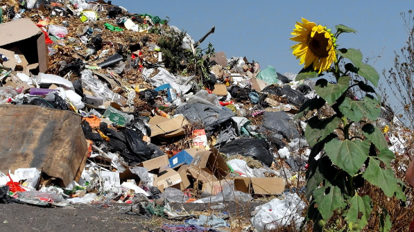 Жаңа адамдар Павлодарда  рұқсат етілмеген қоқыc алаңын анықтады