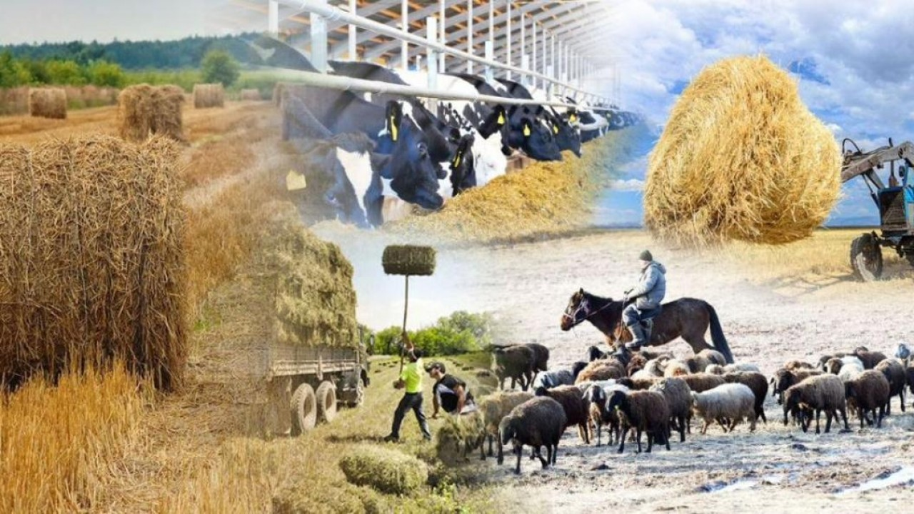 Үкімет: Қазақстанның агросекторы 6,1%-ға өсті  