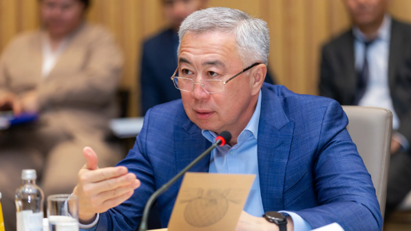 Жұманғарин жаңа салықтар мен бизнеске түсетін жүкетеме туралы айтты