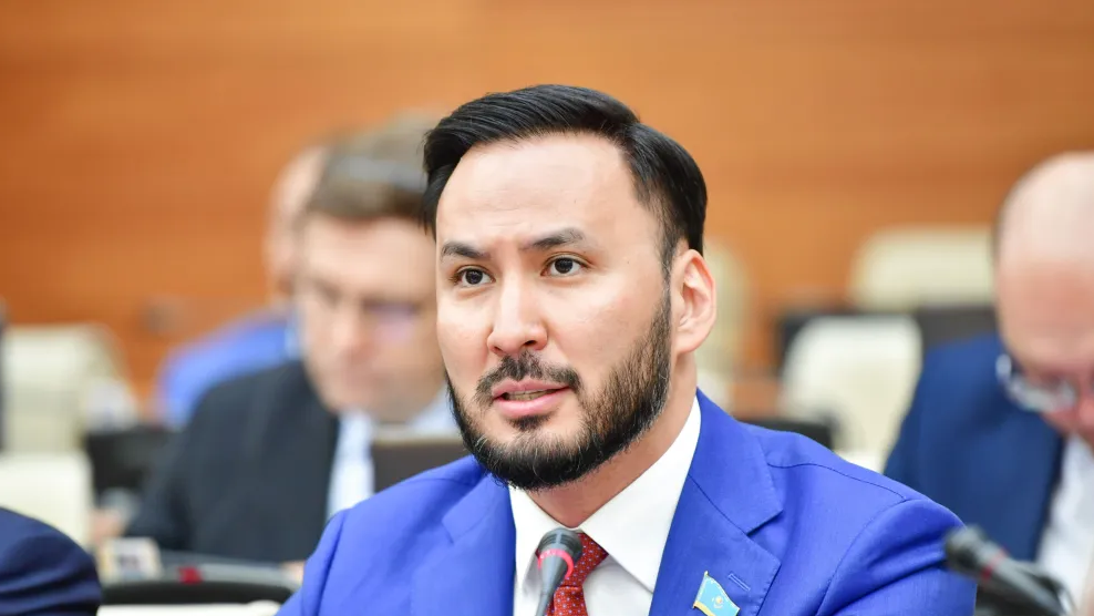 "Мемлекеттік сатып алудағы әр екінші теңге шетелге кетіп жатыр"дейді депутат