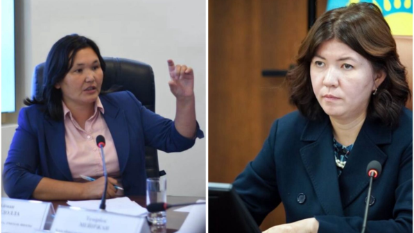 Белсенді ұстаз әріптестерінен көмек сұрап, министрге үндеу жасады