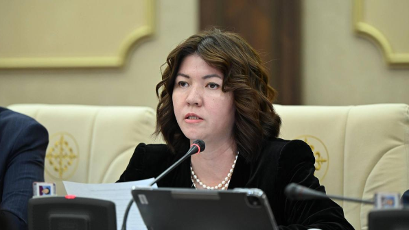 "Мектеп директорларын қорқытпаңдар!" деген қоғам белсендісі министрді "адасып келген" деп сынады