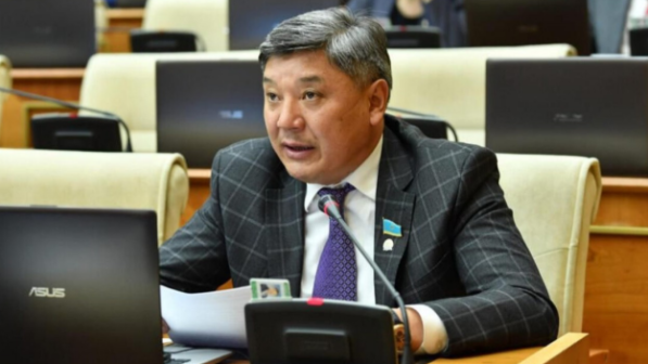 "Президент тарихи сабақтастыққа айрықша тоқталды" деген депутат Ұлттық құрылтайға қатысты пікірін білдірді