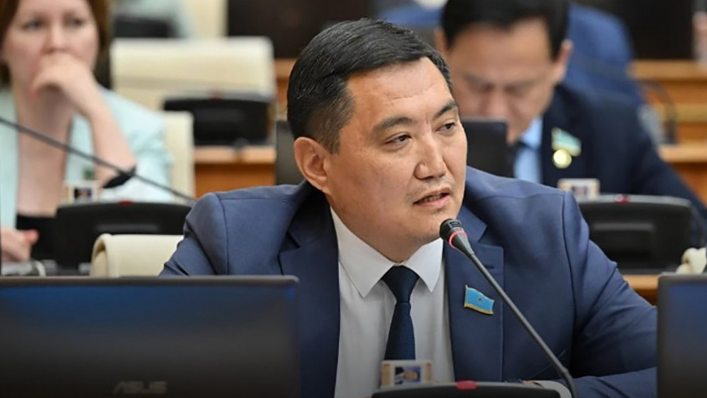 "4 жасар балам "өлтірем", "бауыздаймын" дегенде, төбемнен жай түскендей болдым" деген депутат дабыл қақты