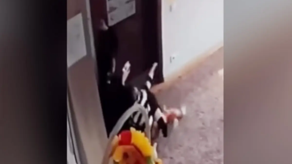 "Ұрып, тұншықтырған": Алматыда балабақшада болған оқиға жұртың жағасын ұстатты