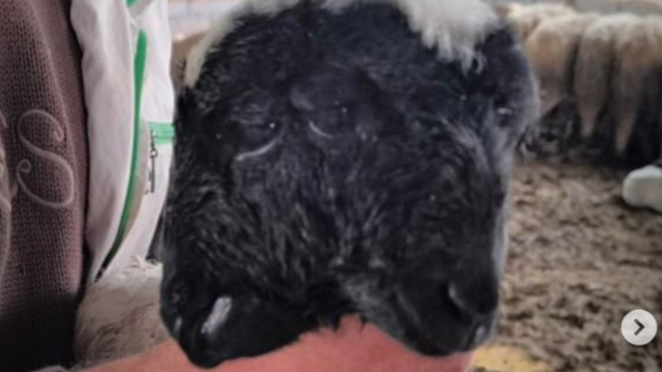 "Құдай адамзатқа ескерту жасады": Түркияда жұртты қорқытқан сұмдық жағдай болды