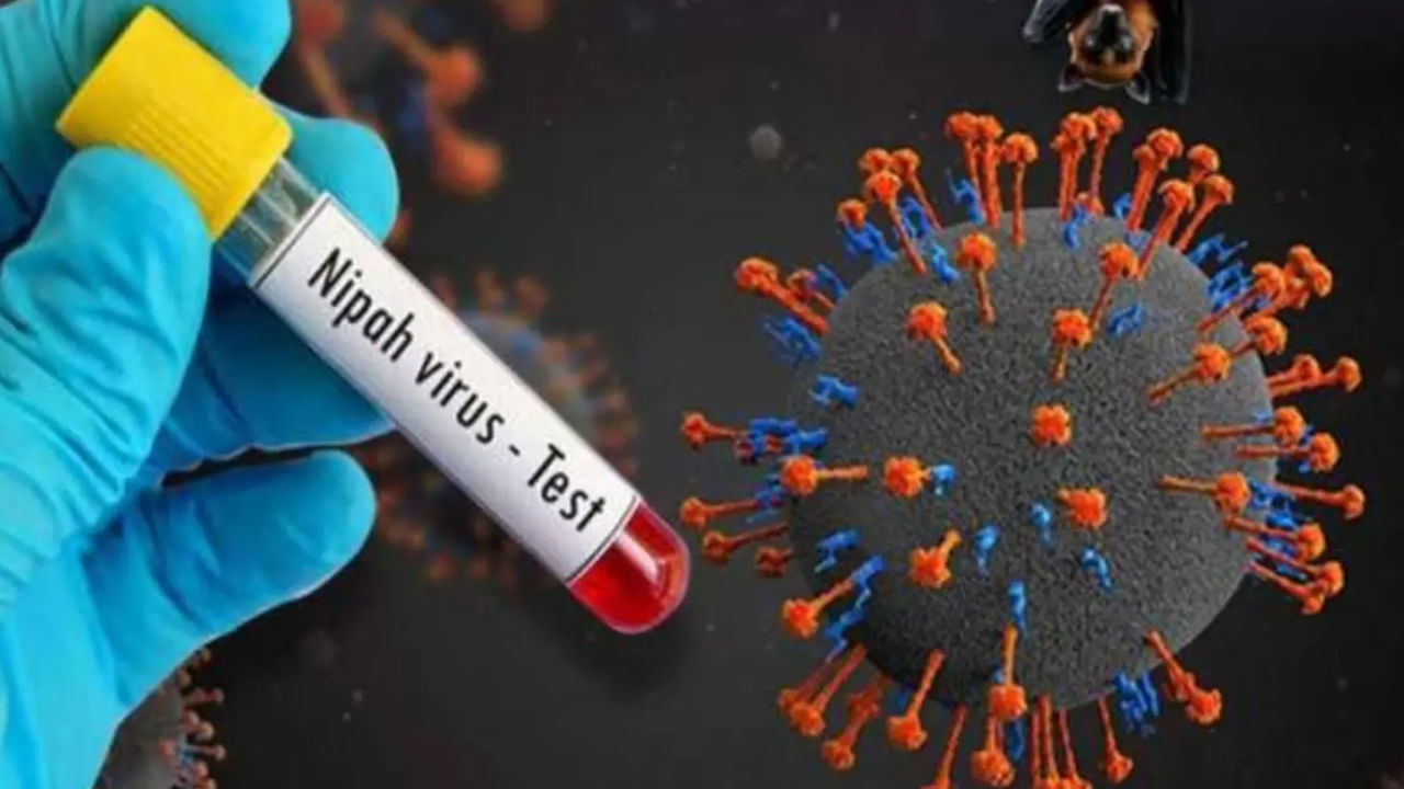 Нипах вирусы біртіндеп жайылып барады