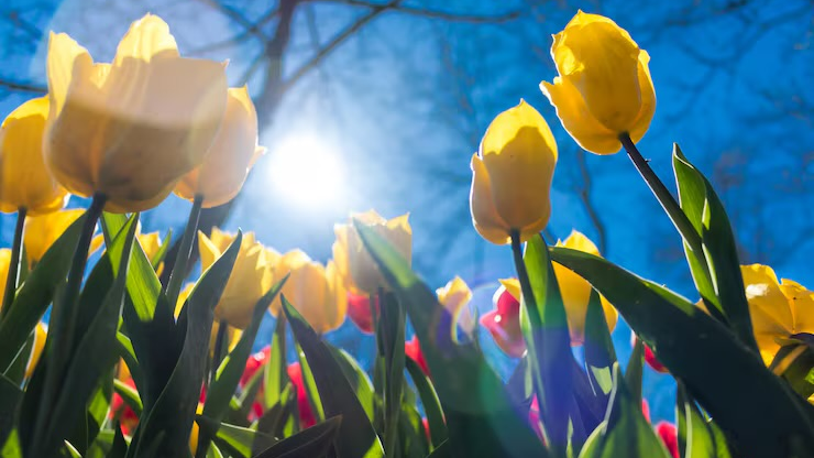 Наурыз айында қанша күн демалыс болатыны белгілі болды