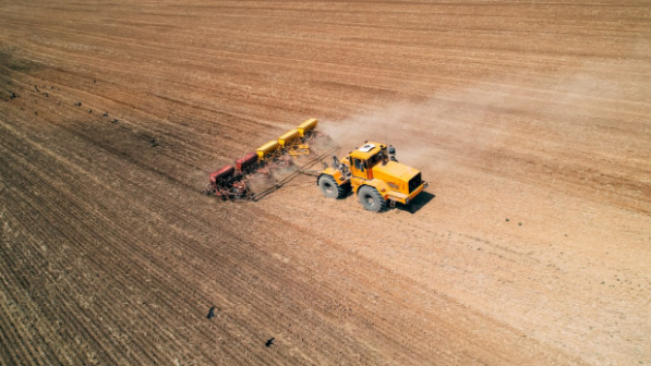 Қазақстанда отандық тұқымның жаңа сорттарының саны 3 есеге артты