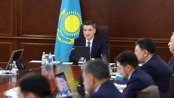 Бектенов отандық тұқым өндірушілерді ынталандыру шараларын қарастыруды тапсырды 