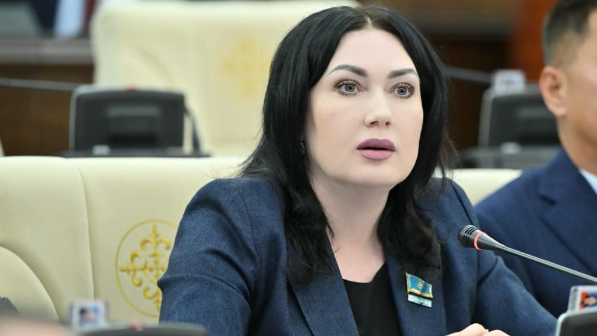 "Мұғалімдегі басты стресс": Депутат мұғалімнің жүктемесін жеңілдетуді сұрады