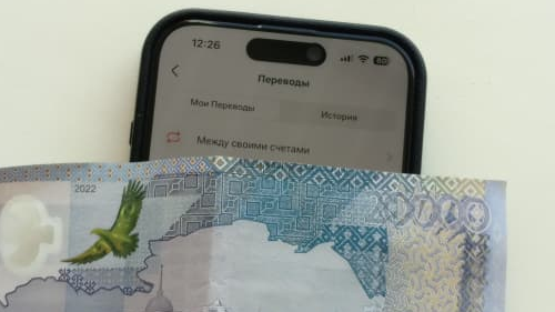 Мобильді ақша аударымдарды тексеру басталды