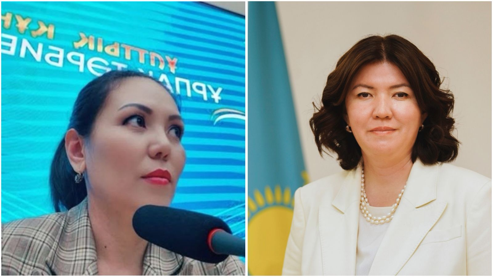 "Сасық әңгімеге ермеңіздер!" деген журналист министрді қолдауға шақырды