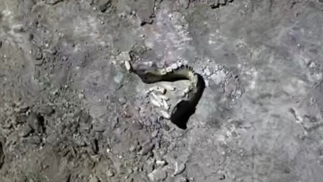 Шашылған адам сүйектері: ШҚО-дағы жағдай елді шошытты