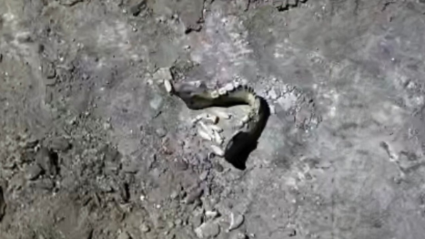 Шашылған адам сүйектері: ШҚО-дағы жағдай елді шошытты