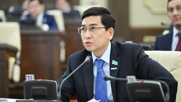 Қажетсіз мамандықтар: Депутат сұранысы жоқ, ескі мамандықтар туралы айтты