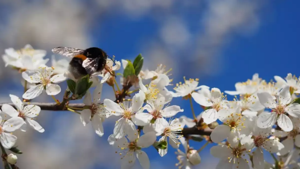 Қазақстандықтар мамыр айында қанша күн демалады?