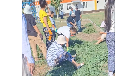 "Сауап, сендерге сауатсыздар": Каникулда шөп шауып жүрген мұғалімдер сынның астында қалды