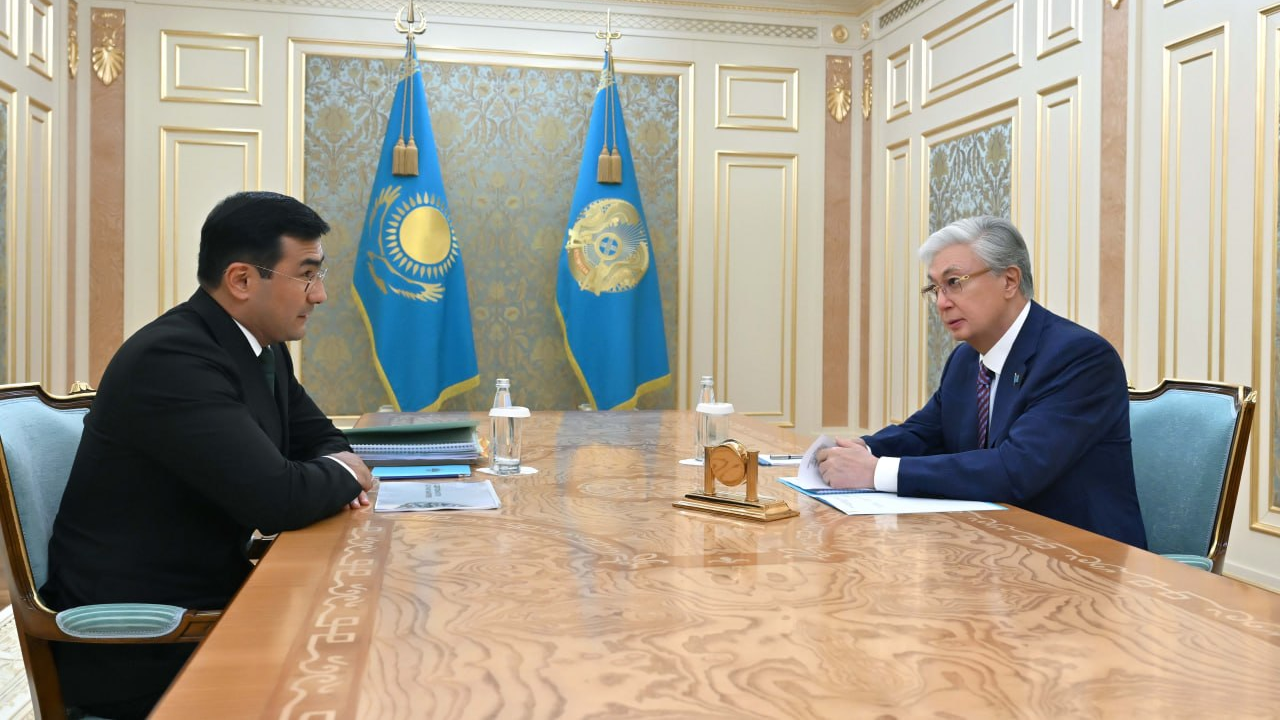 Президент «Бәйтерек» холдингінің басқарма төрағасы Рустам Қарағойшинді қабылдады  