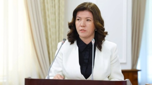 «Реформа үшін реформа керек емес»: Сарапшы министрдің бір жылдық жұмысын бағалады