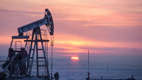 OPEC+ қарашада мұнай өндіру көлемін арттырмайды