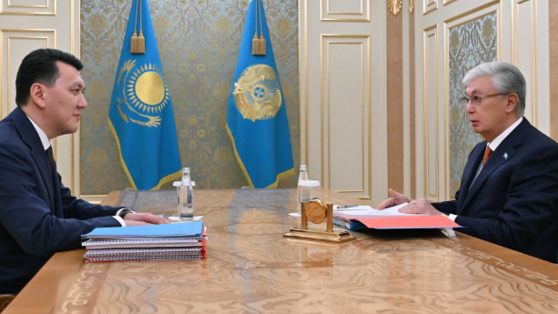 Ерлан Қарин мәлімдеме жасады: Президент нақты тапсырмалар берді