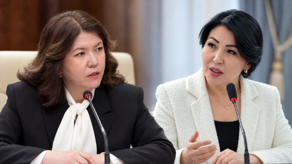 Депутат министр Жұлдыз Сүлейменоваға өткір сауал қойды