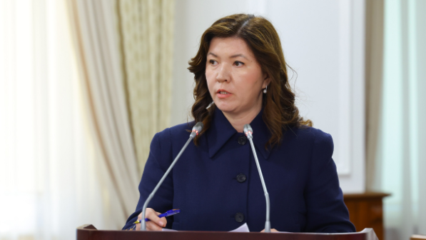 "Министр Сүлейменова басқа әлемде жүр": БжБ кетіп, орнына былық келді ме? 