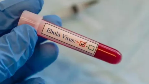 Эбола індеті бірнеше елде тіркеліп, халықаралық алаңдаушылық туғызды